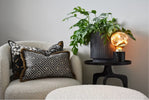 Discover your own style with Calex.