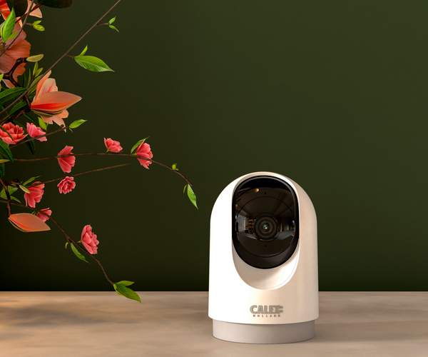 SMART Highlight: De Makkelijkste Camerabeveiliging – Calex