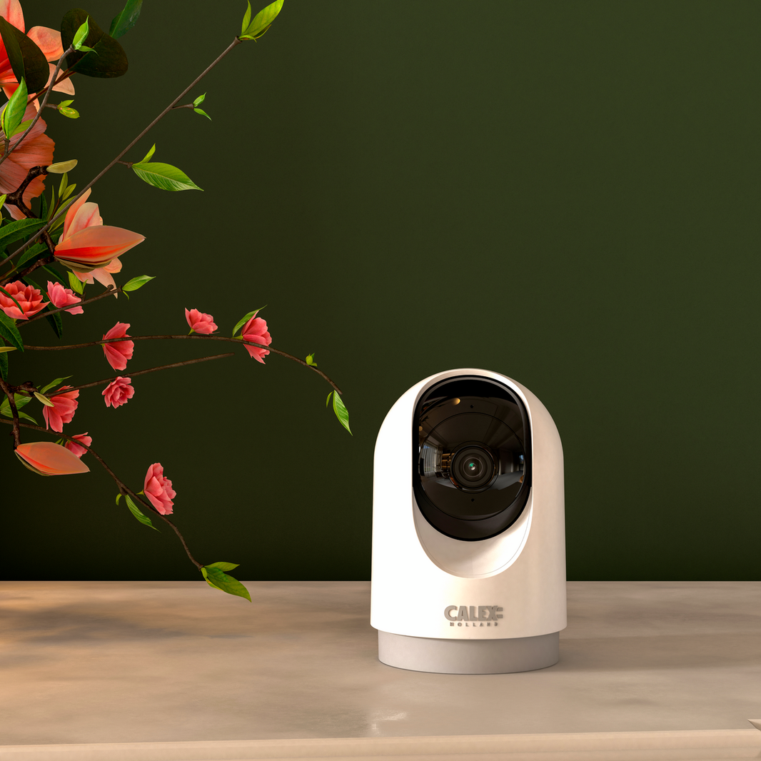 SMART Highlight: The Easiest Camera Security – Calex