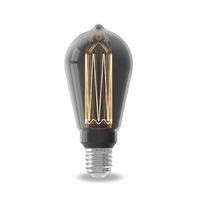 Calex Ampoule LED Série Crown - E27 - ST64 - Titane