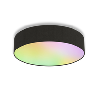 Calex Smart Plafonnier - 40cm - RGB + CCT