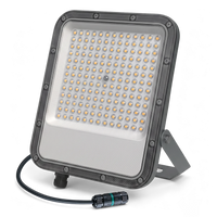Calex LED Floodlight 100W - 4000K - IP65 - Grey