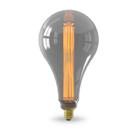 Calex Ampoule Royal Osby - E27 - Filament - Titane