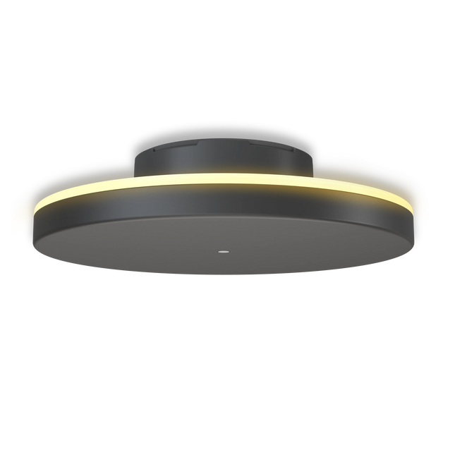 Calex Rosarno Rechargeable Wall Light - 25cm