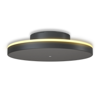 Calex Rosarno Oplaadbare Wandlamp - 25cm