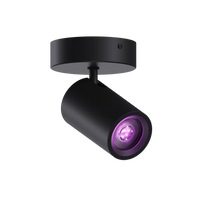 Calex Smart Ceiling Light - 1 Light Spot - Black