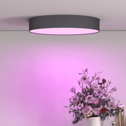 Calex Smart Ceiling Light 30cm - RGB + CCT