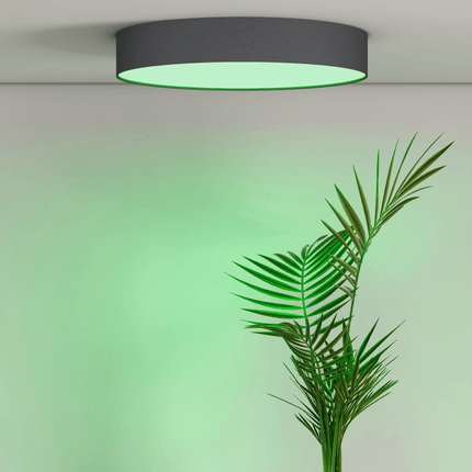 Calex Smart Ceiling Light 40cm - RGB + CCT