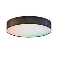Calex Smart Deckenleuchte 40cm - RGB + CCT