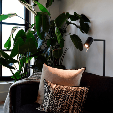 Calex Smart LED Bulb - 2 Pieces - GU10 - Warm White - 4.9W