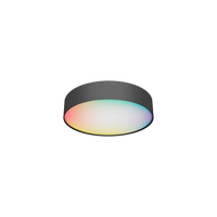 Calex Smart LED-Deckenleuchte - 30cm - RGB - CCT - 16W