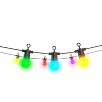 Calex Smart Outdoor String Light – 15 bulbs – RGBIC+CC