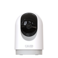 Calex Smart - PTZ-Kamera - BS-Stecker - USB Adapter