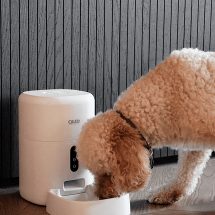 Calex Smart Petfeeder - 1080p Camera