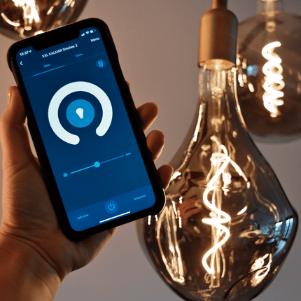 Calex Smart XXL Organic EVO LED Bulb Smokey - E27 - 6W - Dimmable
