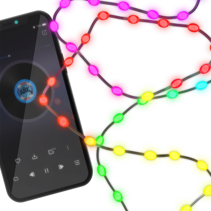 Eurodomest - Music Led Strip - RGBIC - 2.5M