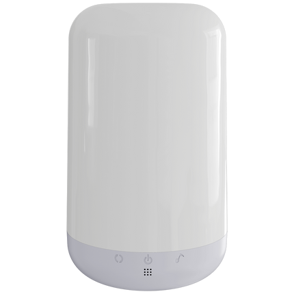 Eurodomest - RGBIC - table light battery