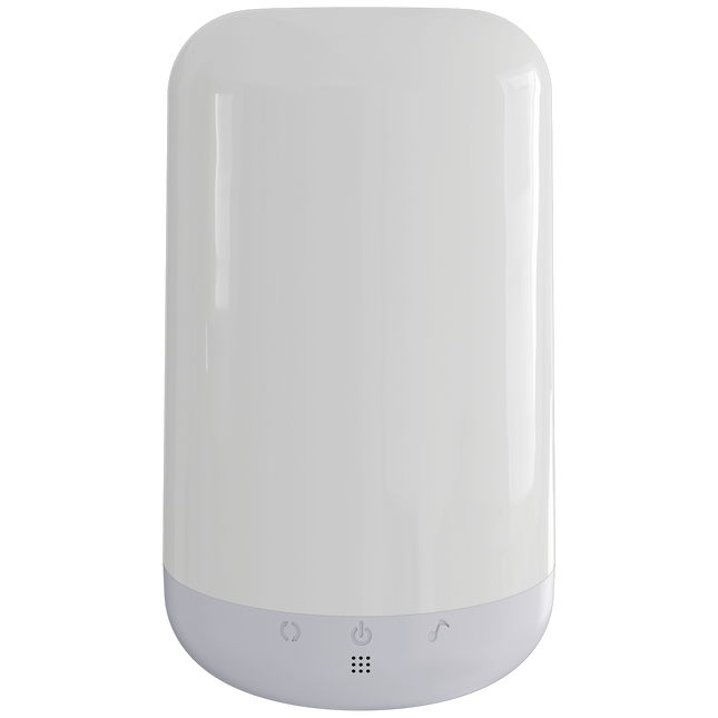 Eurodomest - RGBIC - table light battery
